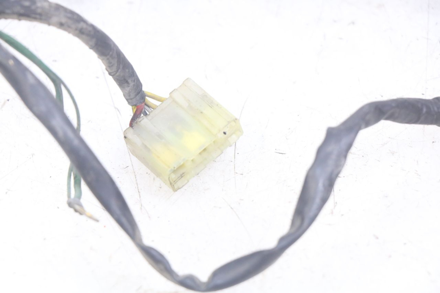 photo de FAISCEAU HONDA CBR F SC25 1000 (1989 - 1992)