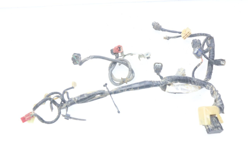 photo de FAISCEAU HONDA CRF 250 (2013 - 2016)