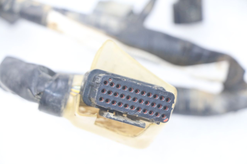 photo de FAISCEAU HONDA CRF 250 (2013 - 2016)