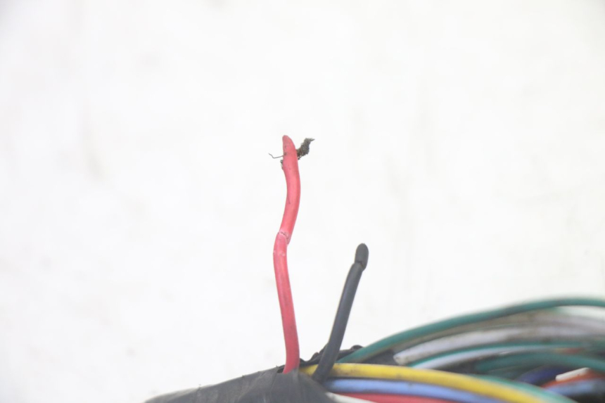 photo de IMPIANTO SYM CROX 4T 50 (2016 - 2023)