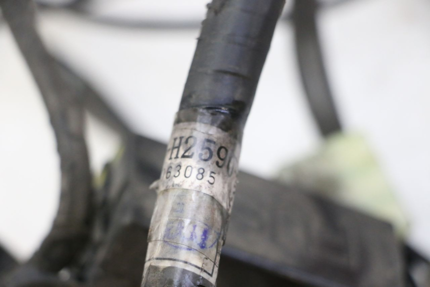 photo de FAISCEAU YAMAHA CYGNUS X INJECTION 125 (2007 - 2013)