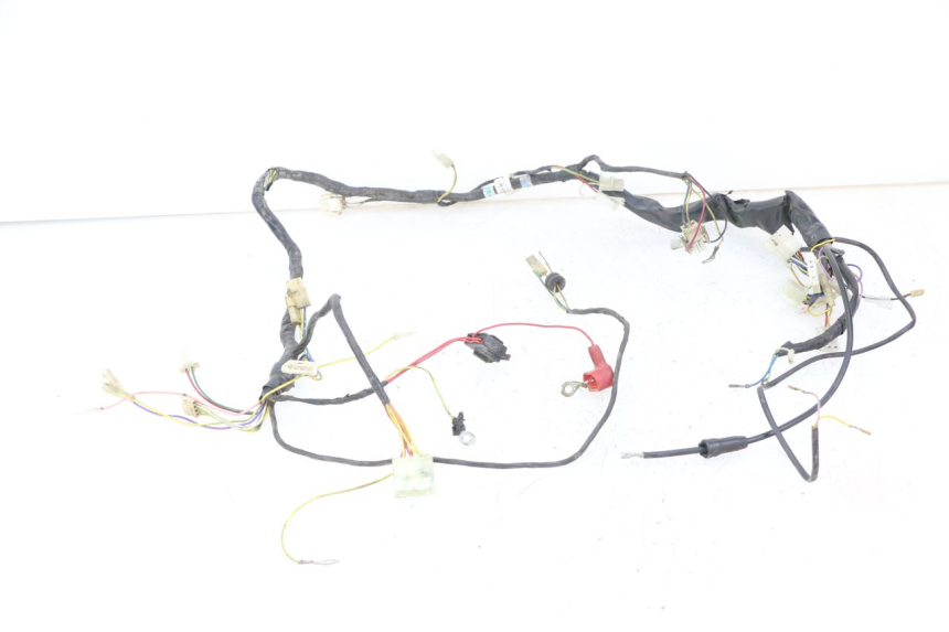 photo de IMPIANTO ELETTRICO DERBI SENDA R X-TREME 50 (2006 - 2010)