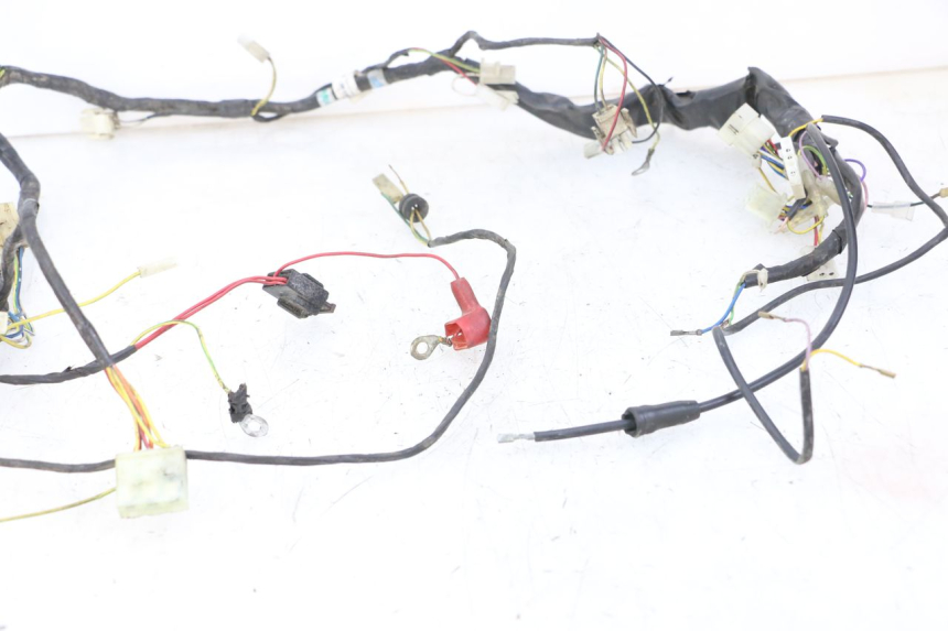 photo de IMPIANTO ELETTRICO DERBI SENDA R X-TREME 50 (2006 - 2010)