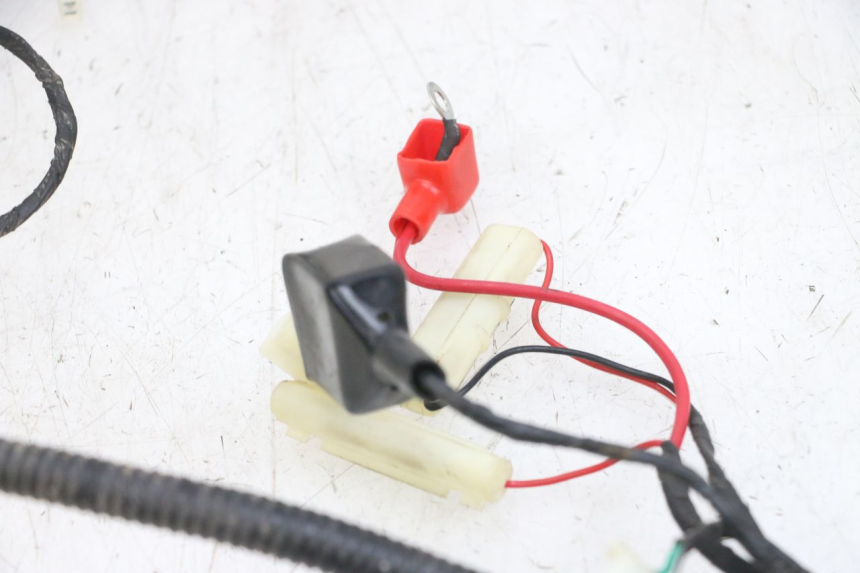 photo de FAISCEAU LONGJIA DIGITA 4T 50 (2019 - 2022) - Marcature e riferimenti originali