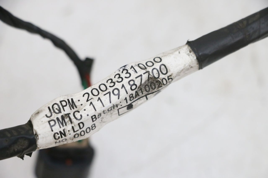 photo de FAISCEAU PEUGEOT DJANGO 4T 50 (2014 - 2019) - Dettaglio del componente