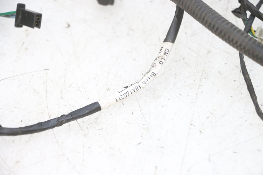 photo de FAISCEAU PEUGEOT DJANGO 4T 50 (2014 - 2019) - Focus sulla struttura