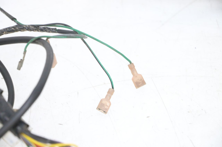 photo de IMPIANTO ELETTRICO PEUGEOT ELYSEO 125 (1999 - 2004) - Primo piano ad alta risoluzione