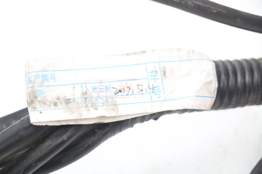 photo de Cablaggio ERIDER CARGO 1 (2009 - 2018)