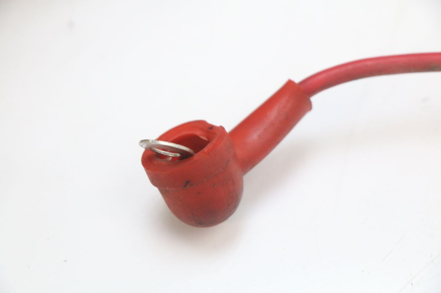 photo de IMPIANTO ELETTRICO EUROCKA RETRO 50 (2007 - 2014)