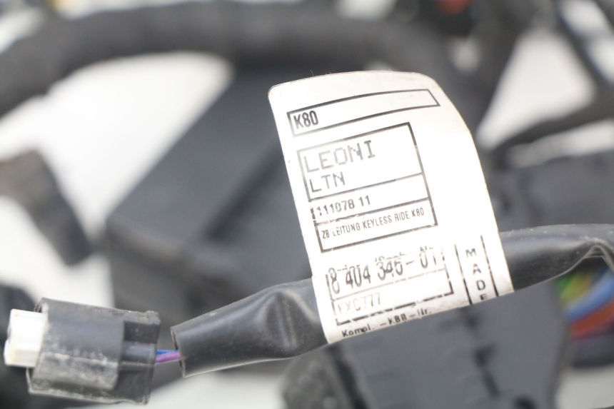 photo de Cablaggio BMW F GS K81 850 (2018 - 2023)