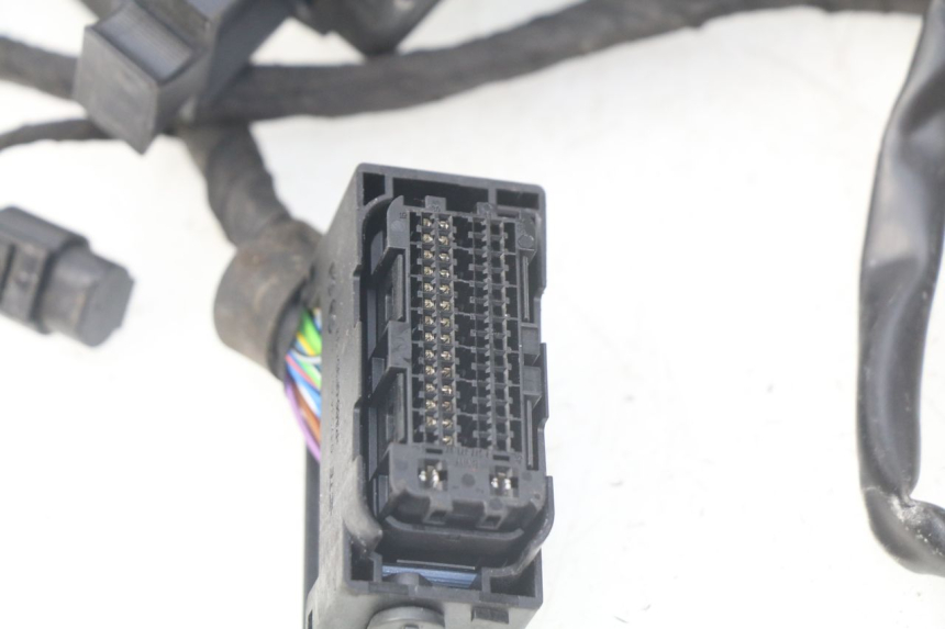 photo de Cablaggio BMW F GS K81 850 (2018 - 2023)