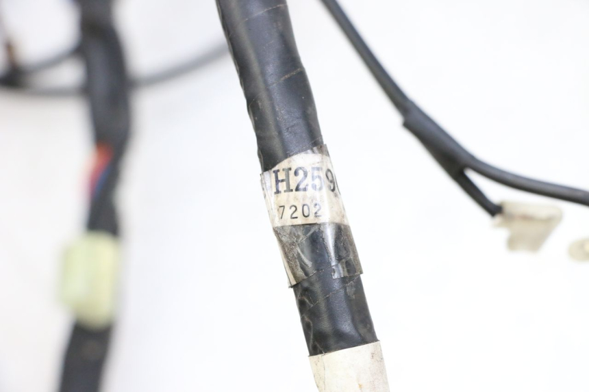 photo de Cablaggio MBK FLAME X 125 (2007 - 2016) - Primo piano tecnico