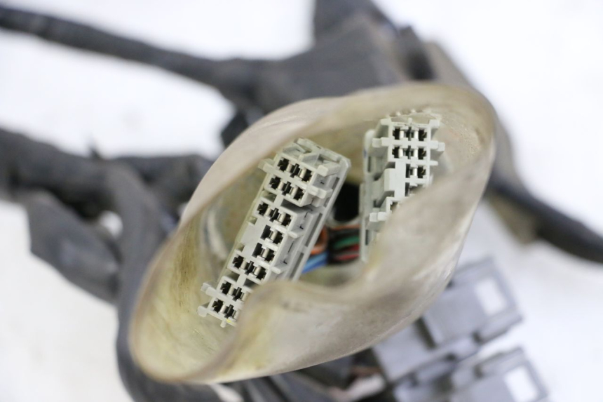 photo de IMPIANTO ELETTRICO HONDA FORZA ABS 300 (2013 - 2019)