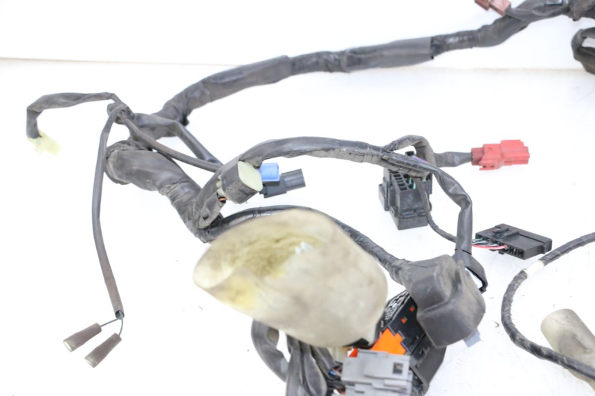 photo de IMPIANTO ELETTRICO HONDA FORZA ABS 300 (2013 - 2019)