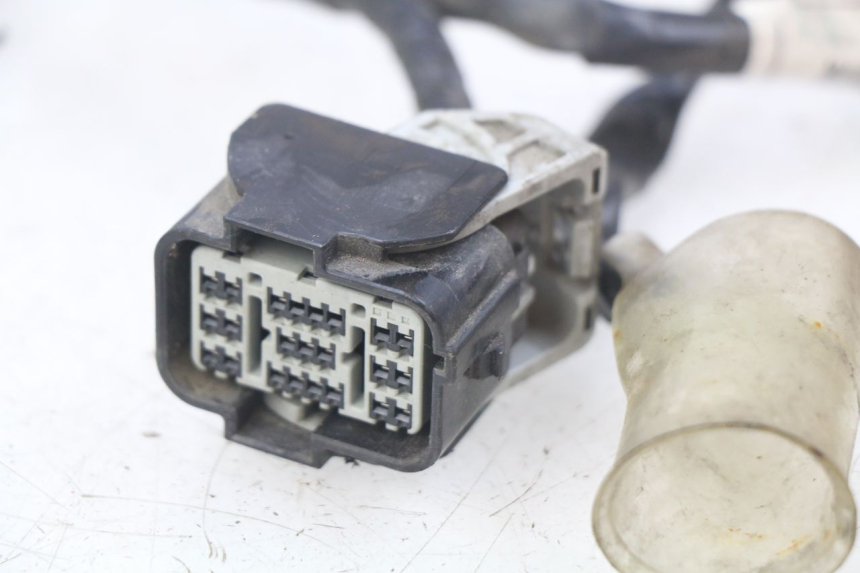 photo de FAISCEAU HONDA FORZA 125 (2015 - 2016)