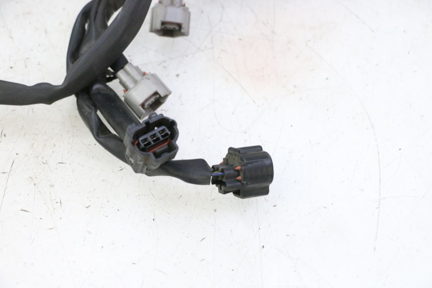 photo de IMPIANTO ELETTRICO YAMAHA FZ6 FAZER S2 600 (2007 - 2011)