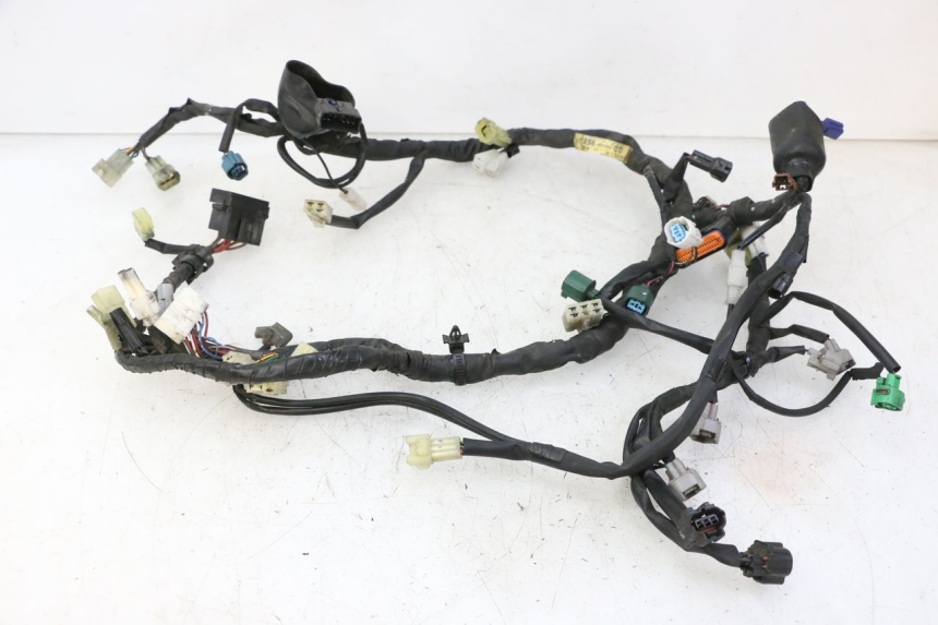 photo de IMPIANTO ELETTRICO YAMAHA FZ6 FAZER S2 600 (2007 - 2011)