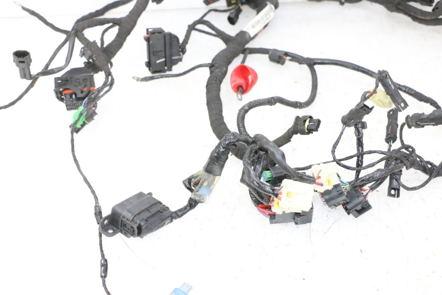 photo de IMPIANTO ELETTRICO BMW G310 R 310 (2016 - 2020)