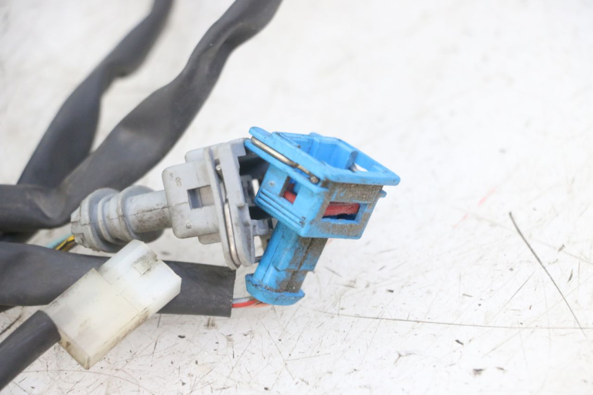 photo de IMPIANTO ELETTRICO PEUGEOT GEOPOLIS RS 125 (2007 - 2009)