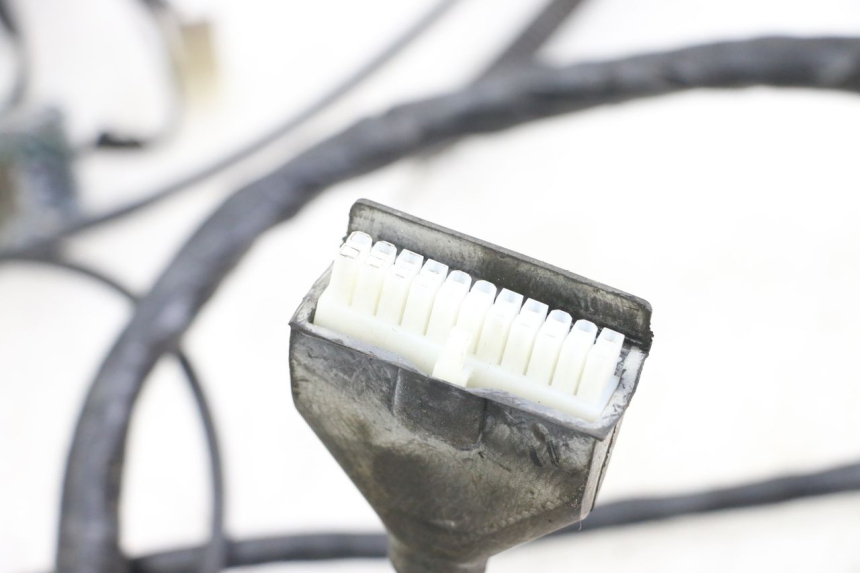 photo de IMPIANTO ELETTRICO PEUGEOT GEOPOLIS RS 125 (2007 - 2009)