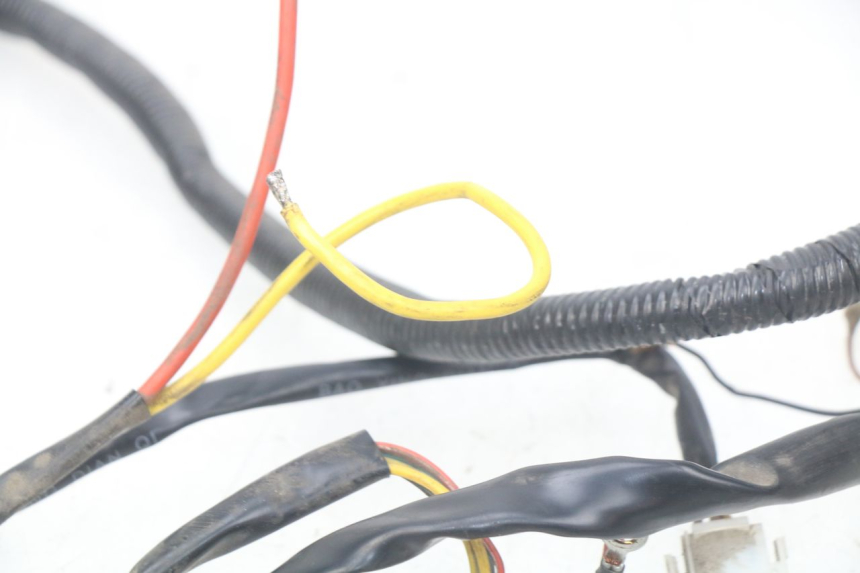 photo de FAISCEAU EUROCKA GREEN 1