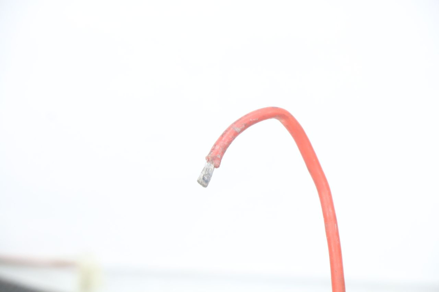 photo de FAISCEAU EUROCKA GREEN 1