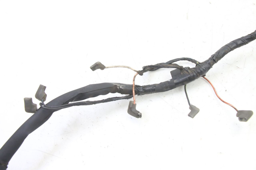 photo de FASCIO SUZUKI GS GSE 500 (2001 - 2003)