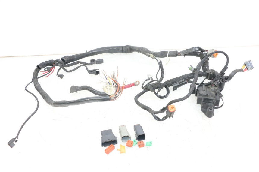 photo de IMPIANTO ELETTRICO HARLEY DAVIDSON SPORTSTER XL CUSTOM 1200 (2003 - 2004)