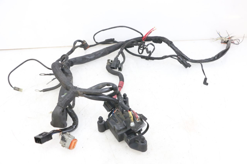 photo de IMPIANTO ELETTRICO HARLEY DAVIDSON SPORTSTER XL CUSTOM 1200 (2003 - 2004)