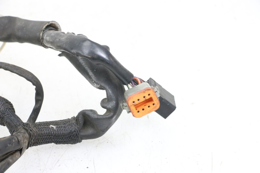 photo de IMPIANTO ELETTRICO HARLEY DAVIDSON SPORTSTER XL CUSTOM 1200 (2003 - 2004)