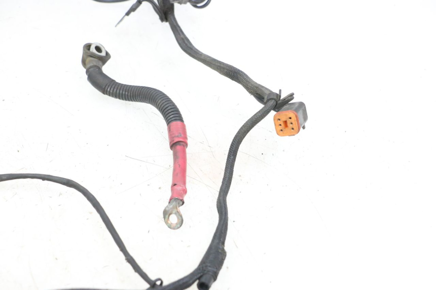 photo de IMPIANTO ELETTRICO HARLEY DAVIDSON SPORTSTER XL CUSTOM 1200 (2003 - 2004)