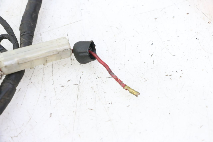 photo de FASCIO DAELIM HISTORY 125 (2001 - 2002)