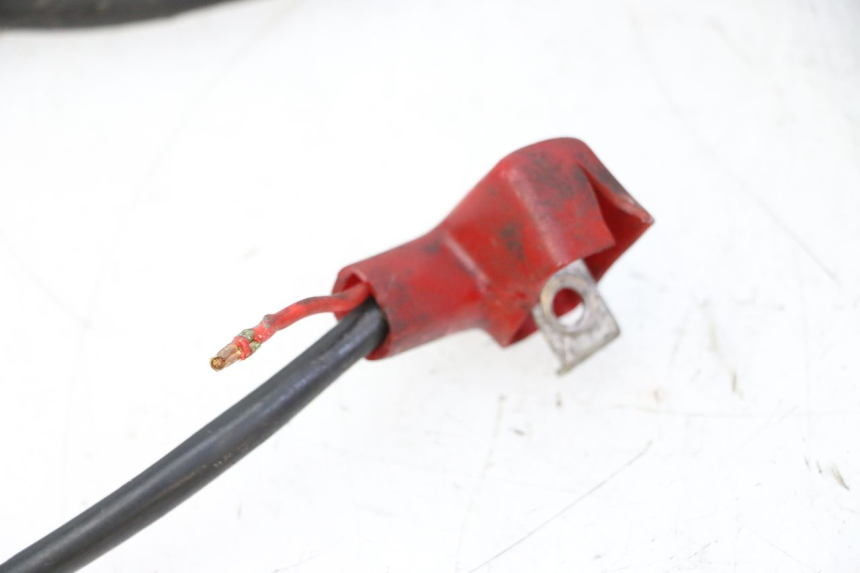 photo de FASCIO DAELIM HISTORY 125 (2001 - 2002)