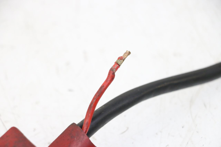 photo de FASCIO DAELIM HISTORY 125 (2001 - 2002)