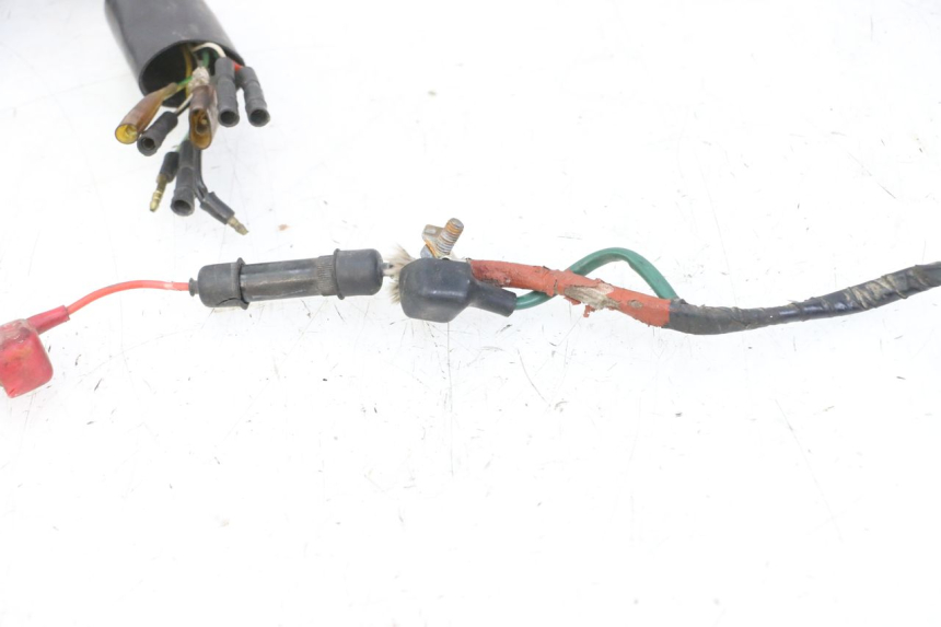 photo de IMPIANTO ELETTRICO HONDA MTX TC02 125 (1987 - 1989)