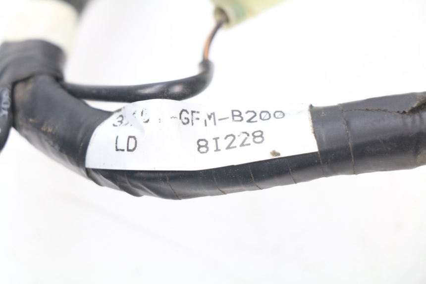 photo de Cablaggio HONDA NHX LEAD 110 (2008 - 2010)