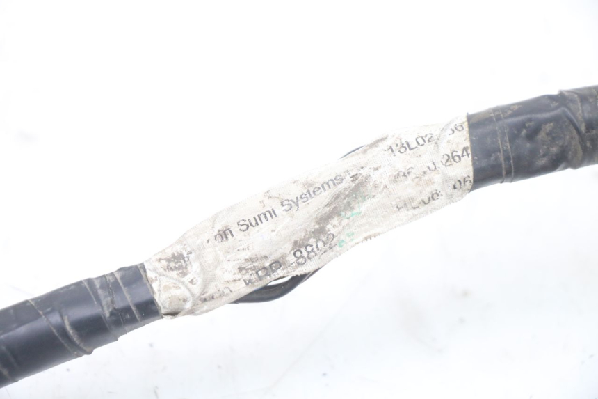 photo de Cablaggio HONDA SCV LEAD 100 (2003 - 2007)