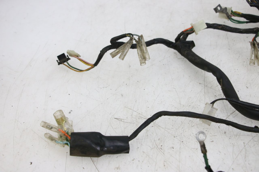 photo de IMPIANTO ELETTRICO HONDA WALLAROO DX 50 (1993 - 1996)