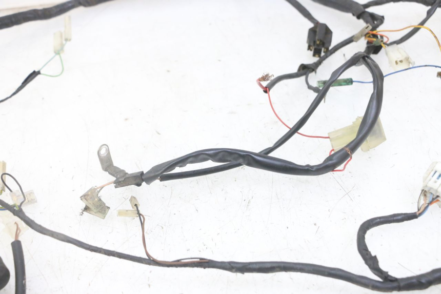 photo de IMPIANTO ELETTRICO YAMAHA JOG R 50 (2004 - 2014)