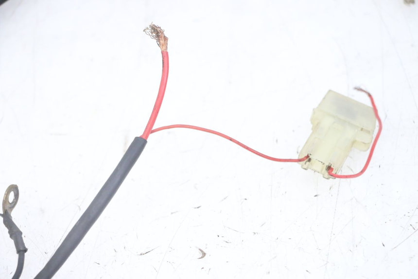 photo de IMPIANTO ELETTRICO YAMAHA JOG R 50 (2004 - 2014)