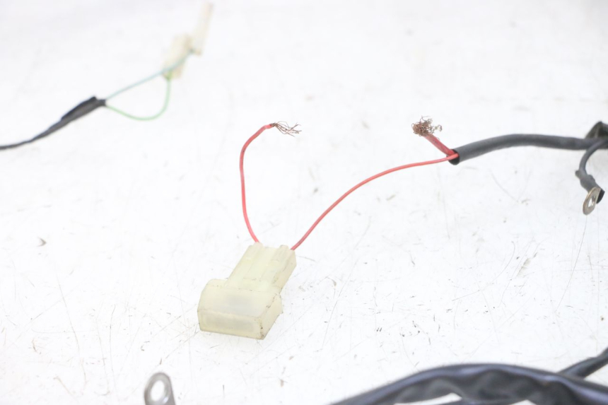 photo de IMPIANTO ELETTRICO YAMAHA JOG R 50 (2004 - 2014)