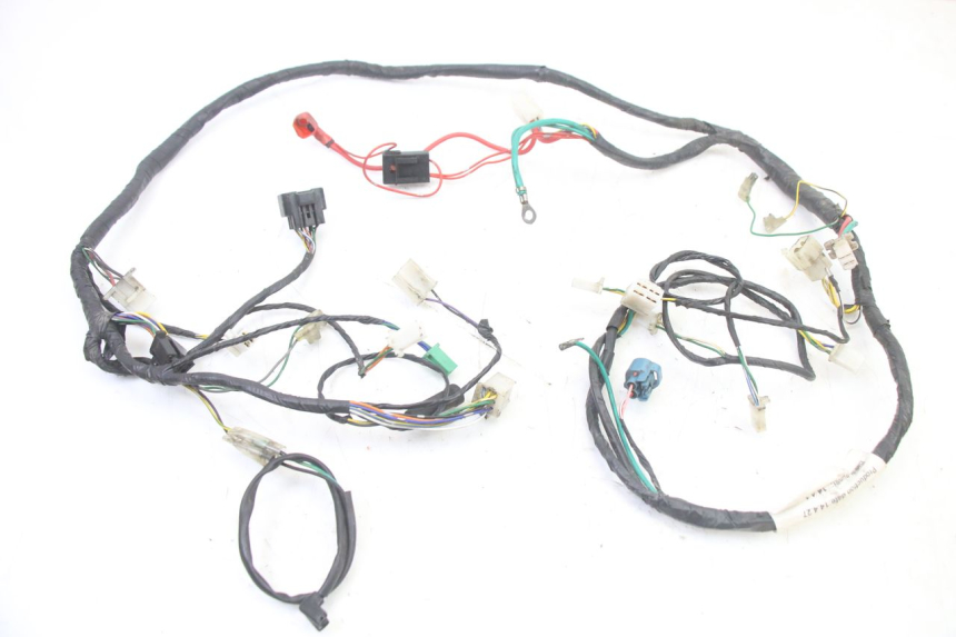 photo de FAISCEAU PEUGEOT KISBEE 2T 50 (2010 - 2017)