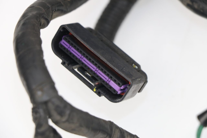 photo de Cablaggio KYMCO XCITING 500 (2007 - 2010)