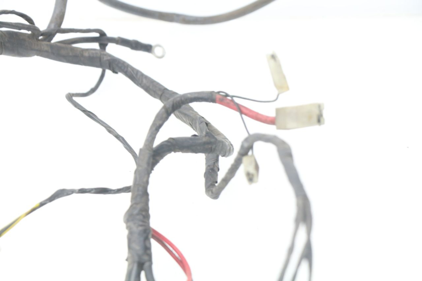 photo de Cablaggio PIAGGIO LIBERTY 4T 50 (2004 - 2008)