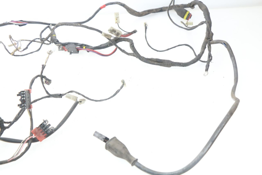 photo de Cablaggio PIAGGIO LIBERTY 4T 50 (2004 - 2008)