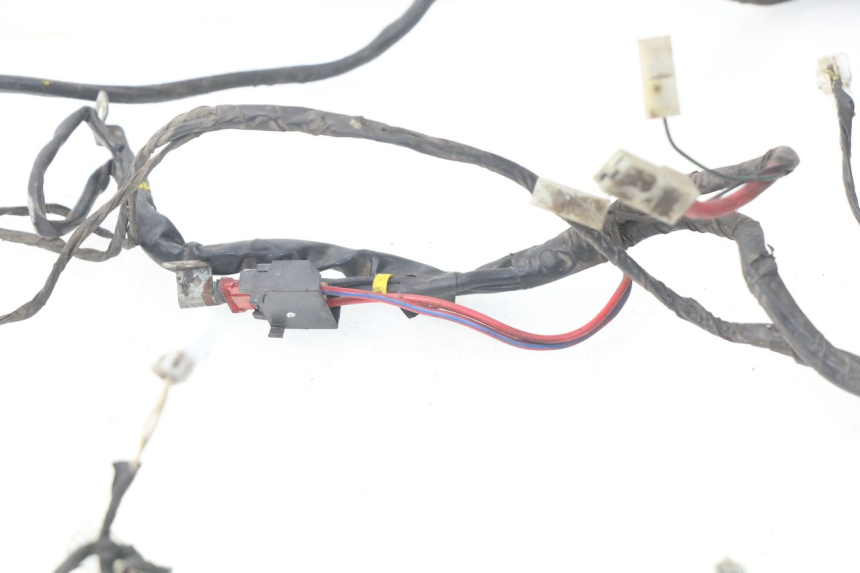 photo de Cablaggio PIAGGIO LIBERTY 4T 50 (2004 - 2008)