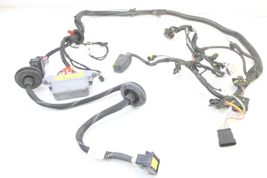 photo de IMPIANTO ELETTRICO LIGIER PULSE 3 1 (2014 - 2020)