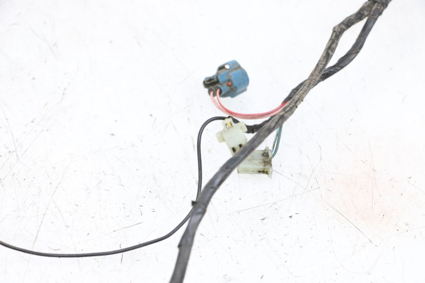 photo de FAISCEAU PEUGEOT LUDIX 50 (2005 - 2007) - Caratteristiche distintive