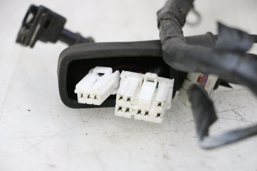 photo de IMPIANTO ELETTRICO PIAGGIO LXV 4T 50 (2009 - 2013)