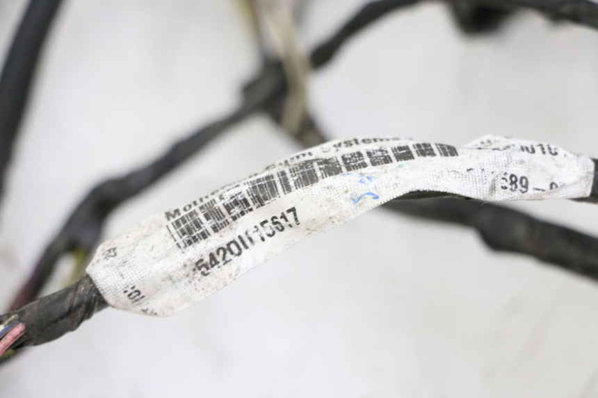 photo de IMPIANTO ELETTRICO PIAGGIO LXV 4T 50 (2009 - 2013)